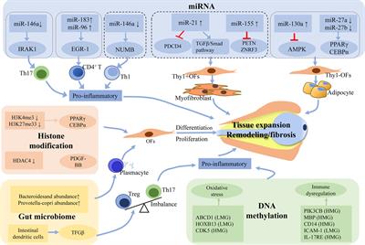 Emerging Insights Into the Role of Epigenetics and Gut Microbiome in the Pathogenesis of Graves’ Ophthalmopathy